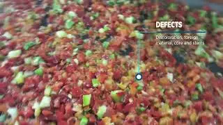TOMRA Belt Sorter   Bell Pepper Dices Sorting