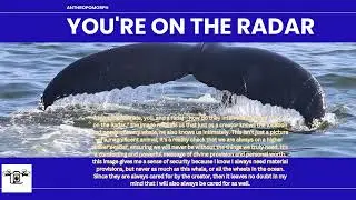 You&rsquo;re on the Radar 🐋 | The Whale That Reminds You You&rsquo;re Not Invisible