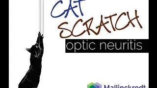 Cat Scratch Optic Neuritis