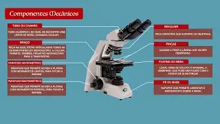 Microscópio - Partes do Microscópio Óptico