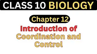 Introduction of Coordination and Control | Chapter 12 | Class 10 Biology