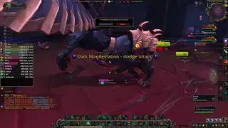 8.3 raid 1st boss killed and second boss try