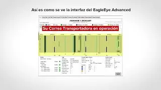 How Does Fenner Dunlop's Eagle Eye Work?