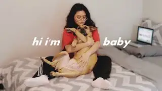 hugging my dog for too long ... a little too long ...