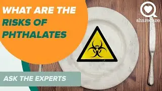 What Are the Risks of Phthalates  | Ask The Experts  | Sharecare