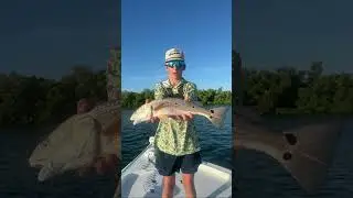 Fishing with Gulfcoast Fishing Charters. #countrymusic #morganwallen #fishing #gulfofamerica #stpete