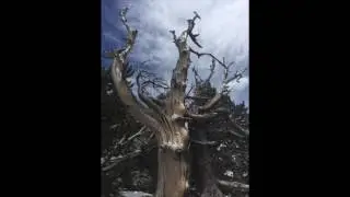 Highlights of My #RepInTheRockies Climate Change Tour