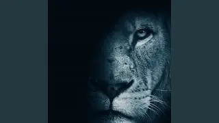 O alvorecer do leão
