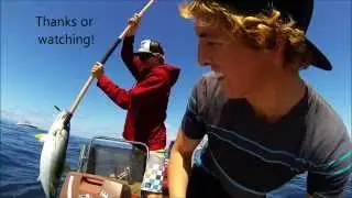 Yellowtail Fishing at the 150 Long Beach, CA