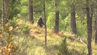 CAZA A RECECHO CON ARCO. MYWAY BOWHUNTING. PSE EVO.