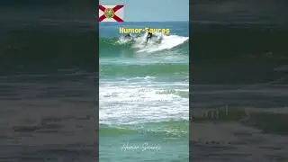 Tickletube #24 Florida edition #funny  #funweek #florida #sunshine