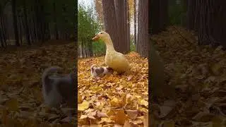 Cute puppy and goose friends forever | amazing animals #100 | #shorts