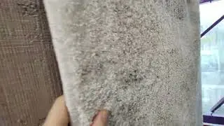 Luxury Harmony Sound Absorbing Carpet