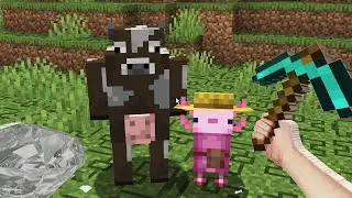 Я добавил все проклятые пакеты ресурсов в Minecraft