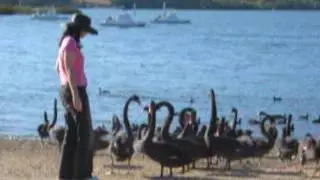 20040327 Irit and Black Swans
