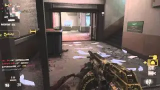 Advanced Warfare Bal-27 Obsidian Steed and Asm1 Speakeasy combo