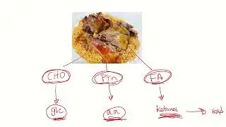 Inborn Errors of Metabolism