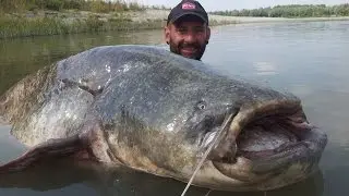 Man Catches 19 Stone Catfish