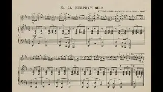 Old-Time TOTW #366: Murphy's Bird (E. F. Adam) 6/29/25 #fiddle