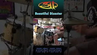 Beautiful Disaster &ndash; 311 | Drum Cover with Tabs (90s Rock Classic)