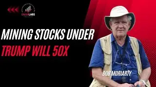 #60 Bob Moriarty | Legendary Contrarian, Mining Stocks 50x?, Silver Criminally Undervalued & Gold