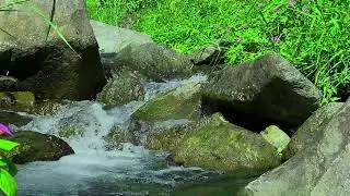 Relaxing River Sounds for Deep Relaxation, Stress Relief & Calm Mind (No Music)