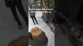 Bustin Down Ash Rounds  Ole Fashioned Way 💪  #firewood #ytshorts #shorts #short #wood #nature #fun