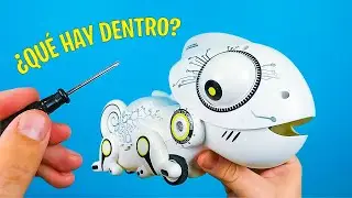 QUE HAY DENTRO DEL ROBOT CAMALEON
