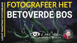 Fotografeer het betoverde bos