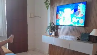 Limpeza fui   cidade  e trouxe planta 