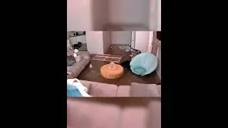 Dog caught on security camera doing bad things #dog #funnydog #dogs #funnyvideos #fyp