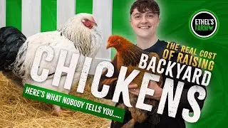 The REAL Cost of Raising Backyard Chickens 🐔 | Brahma Chickens in 4K | Ethel&rsquo;s Farm