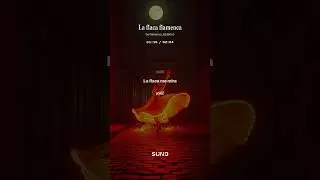 La flaca flamenca - Flamenco Sintetico ❤️🪭