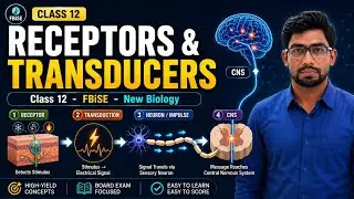 Class 12 Biology | Receptors and Transducers | Path of Message Transmitted to Central Nervous System
