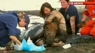 A woman safe her pet horse by taking life risk.flv