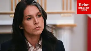 Tulsi Gabbard Details Efforts To Take Down The 'Deep State Actors' In Her First Year As DNI