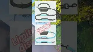 Limited time offer: hands free dog leash#dogleash #handsfreedogleash #dogwalking