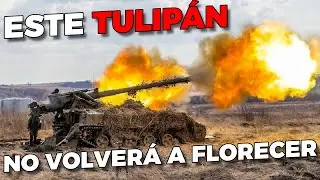 Un dron FPV destruy&oacute; un mortero autopropulsado ruso 2S4 Tyulpan