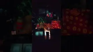 STUCK ON NIGHTMARE BEFORE CHRISTMAS AT DISNEYLAND!!! #Shorts #ViralShorts #YouTubeShorts #FYP #Viral