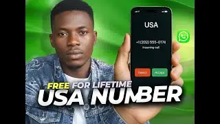 How I got a USA phone number from Fanytel