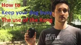 Occupational therapy and environmental enrichment for dogs - the Kong - TMP Ep6