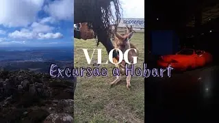 Ep 2: Excursão com a escola (Visita a Hobart) // Meu intercâmbio na Austrália