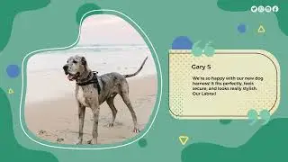 True Charlie Co. Everyday Dog Harnesses | Durable, Easy-to-Use Walking Gear