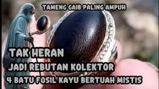 SEKUAT BAJA ‼️ 4 BATU AKIK FOSIL KAYU BERTUAH TAMENG GAIB PALING AMPUH 