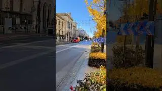 Visita Calle Gran V&iacute;a de Col&oacute;n, Granada, Espa&ntilde;a. #granada #espa&ntilde;a #andalucia