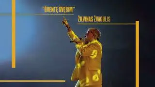 Žilvinas Žvagulis 