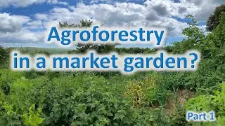 Agroforestry for Market Gardens - Part 1/3