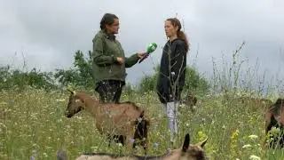 Fatimja, fermerja e Vitisë; Si e nisi biznesin për shkak të sëmundjes