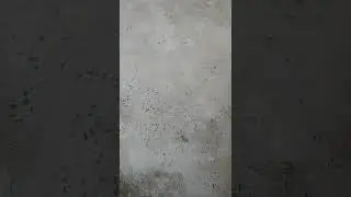 antes,  tem que colocar o cal virgem