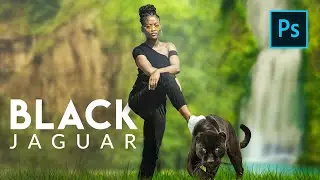 Photoshop! 🔥 Black Jaguar Photo Manipulation
